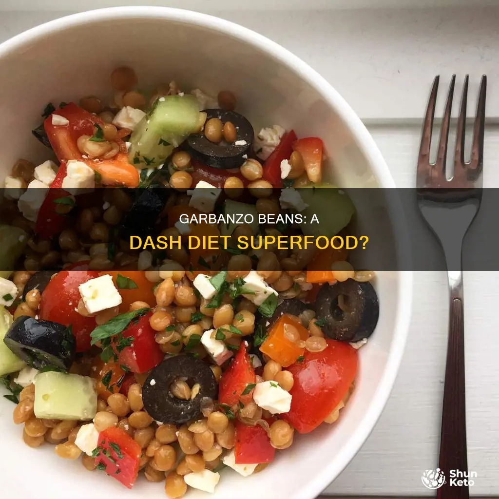 are garbanzo beans ok for the dash diet