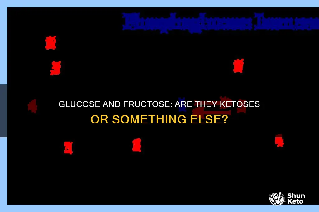 are glucose and fructose ketoses