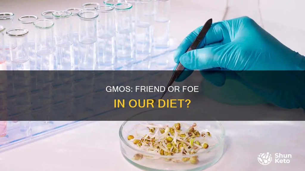 are gmos helping or hurting our diet
