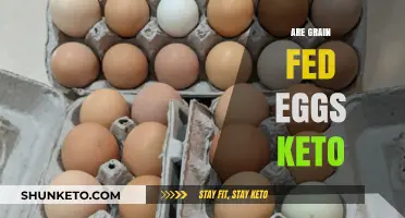 Are Grain-Fed Eggs Keto-Friendly? A Dietary Deep Dive