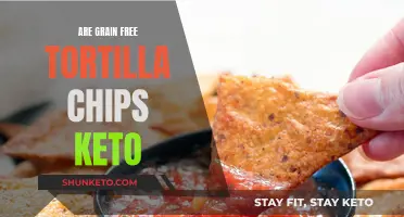 Grain-Free Tortilla Chips: Keto-Friendly Snacking