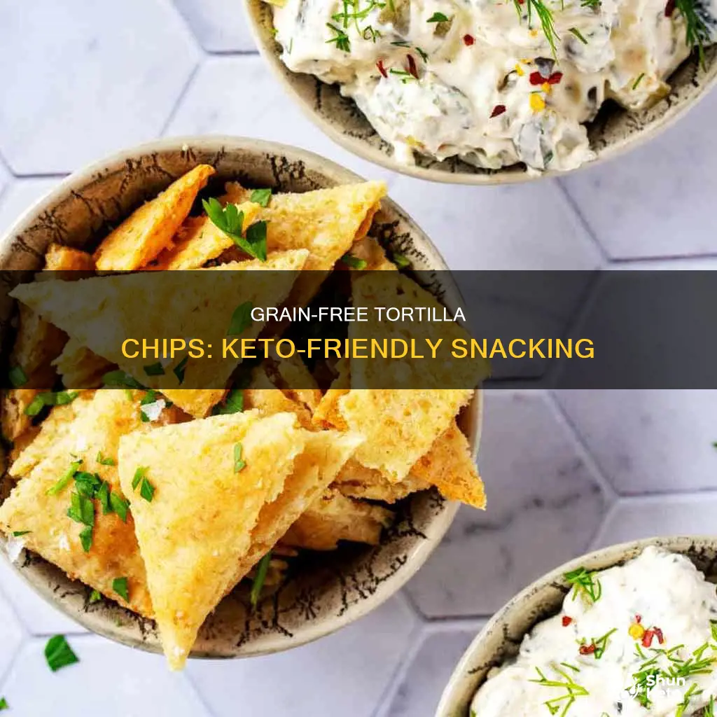 are grain free tortilla chips keto