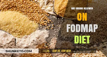 FODMAP Diet: What Grains Are Allowed?