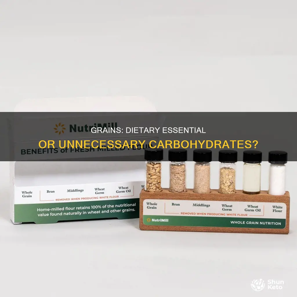are grains needed in diet