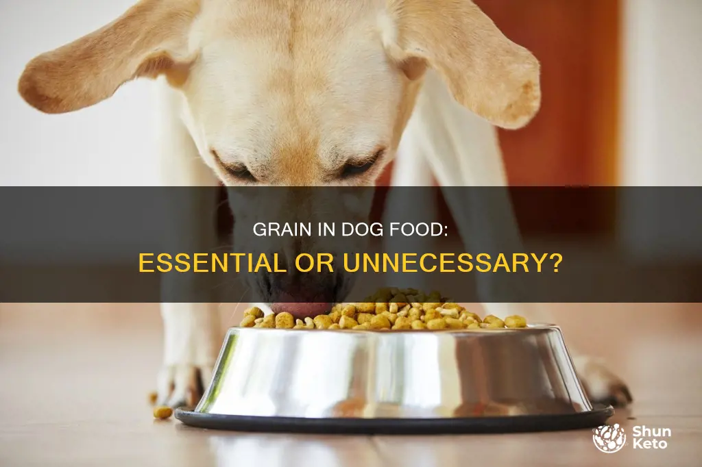 are grains part of a dogs daily diet
