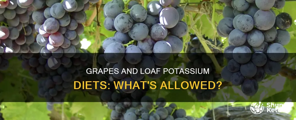 are grapes allowed on a loaf potassium diet
