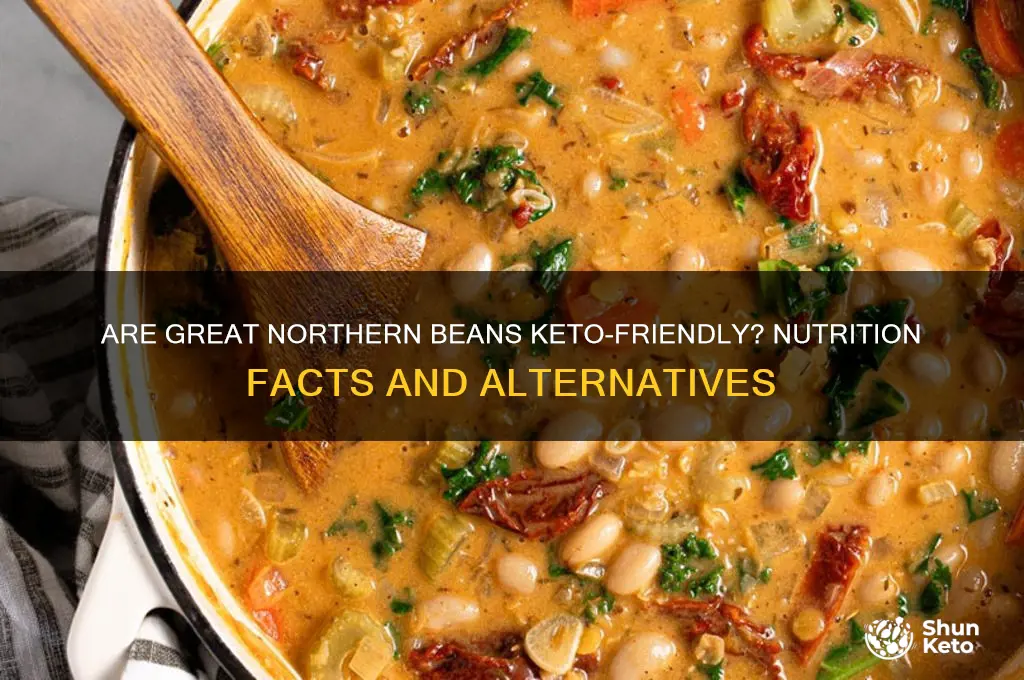 are great northern beans keto