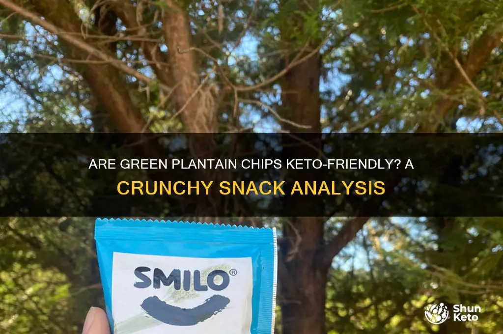 are green plantain chips keto