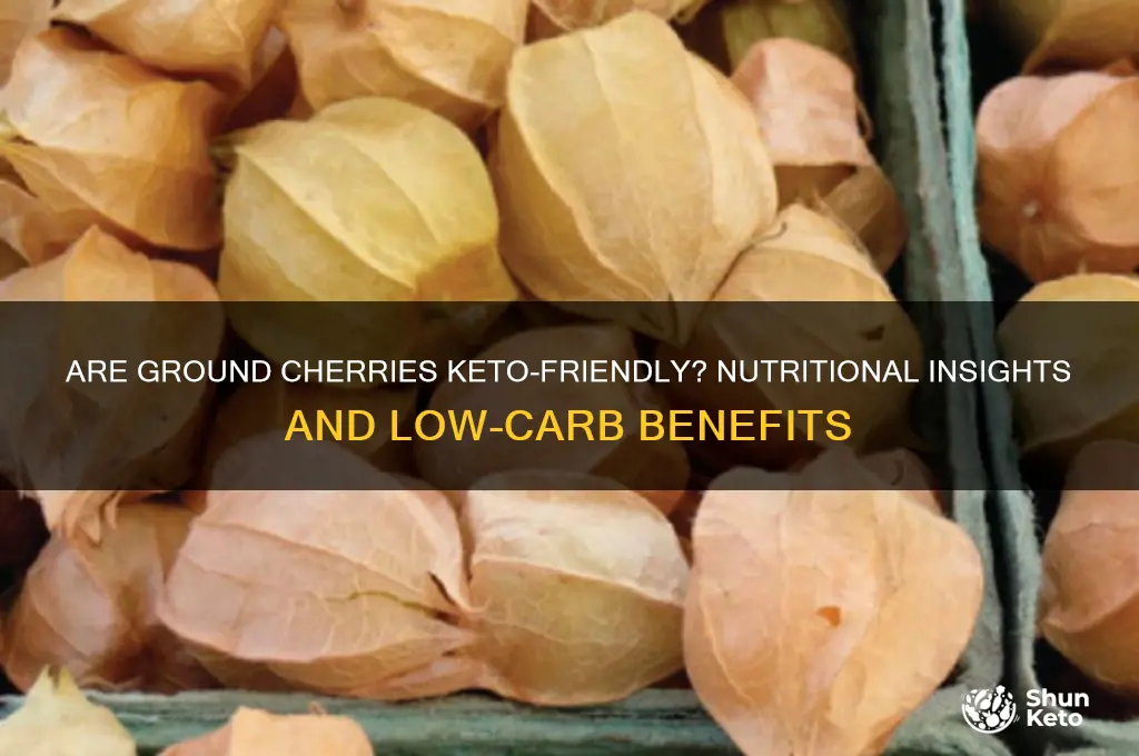 are ground cherries keto