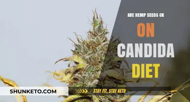 Hemp Seeds and Candida Diet: What You Need to Know