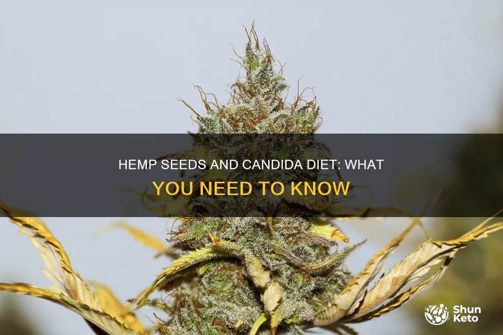 are hemp seeds ok on candida diet