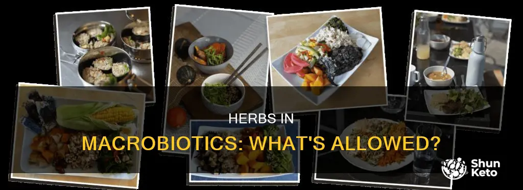 are herbs allowed on macrobiotic diet