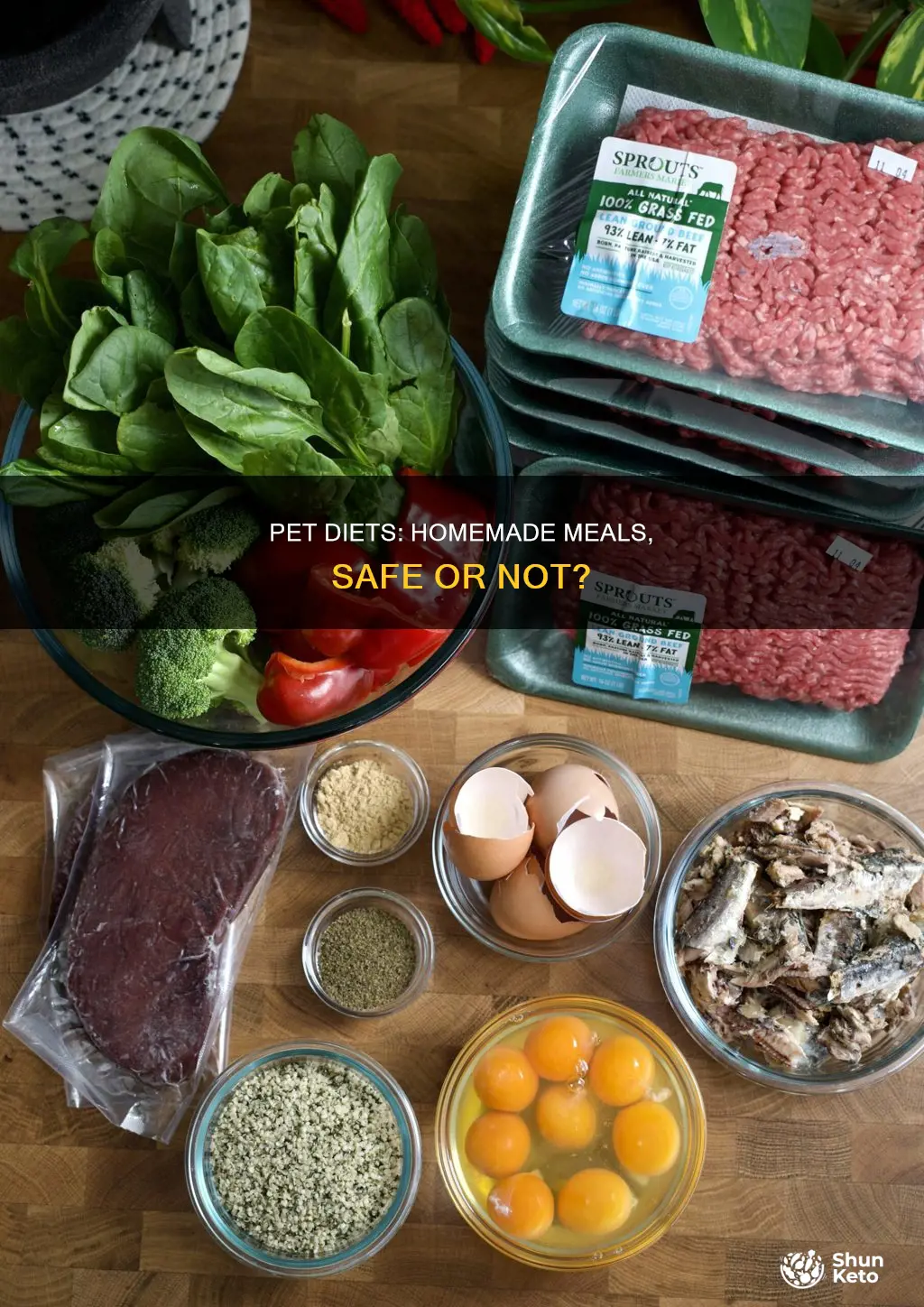 are hlmemade pet diets safe