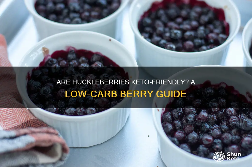 are huckleberries keto