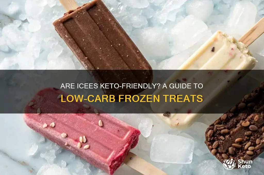 are icees keto
