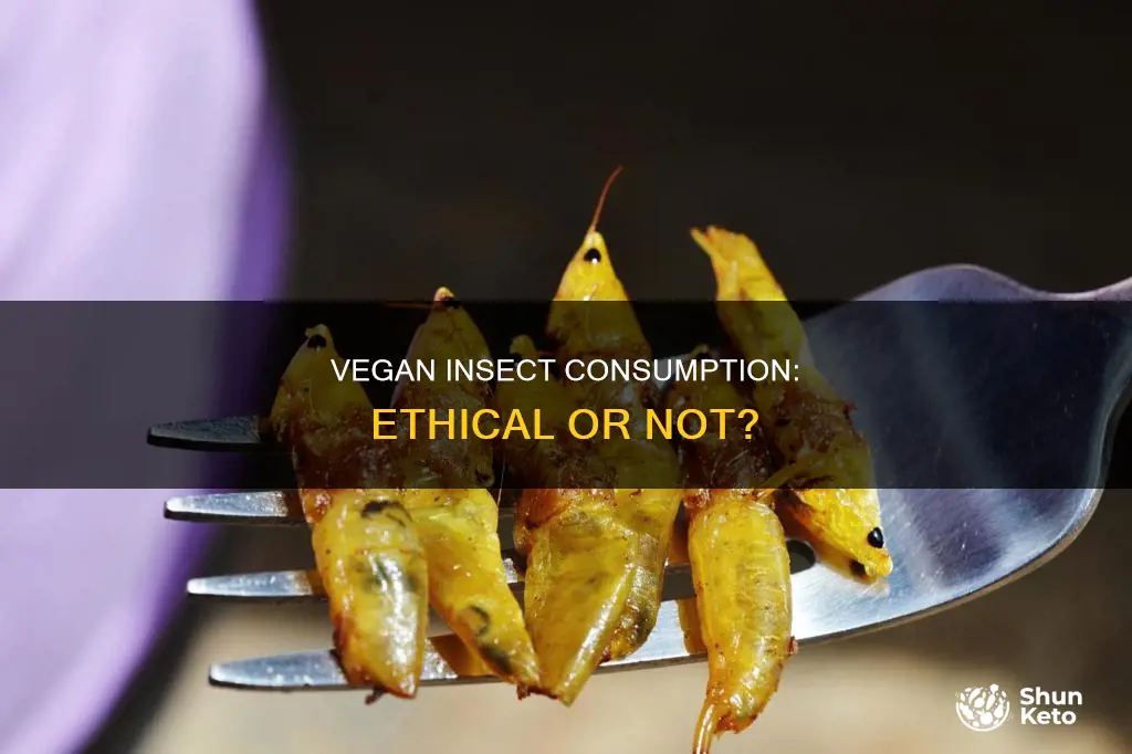 are insects in a vegan diet