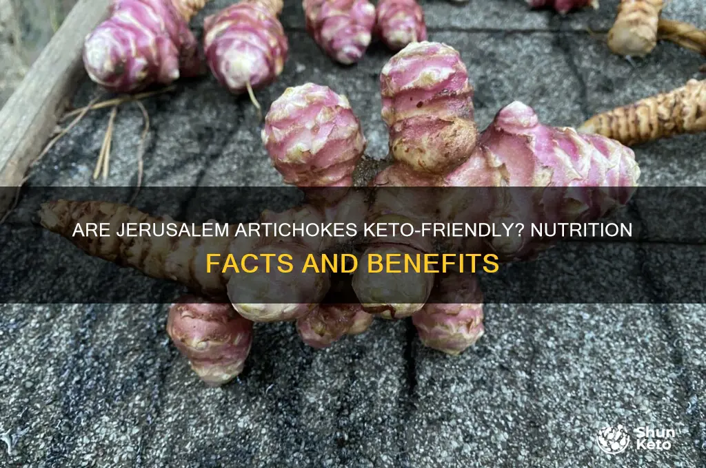 are jerusalem artichokes keto