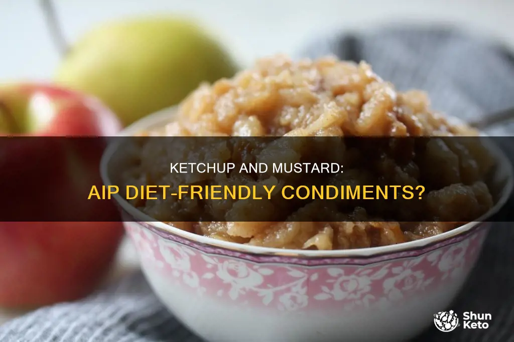 are ketchup and mustad ok on aip diet