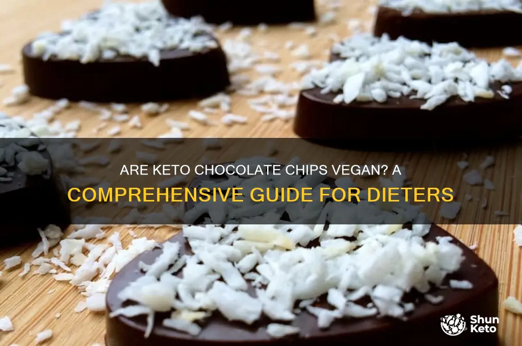 are keto chocolate chips vegan