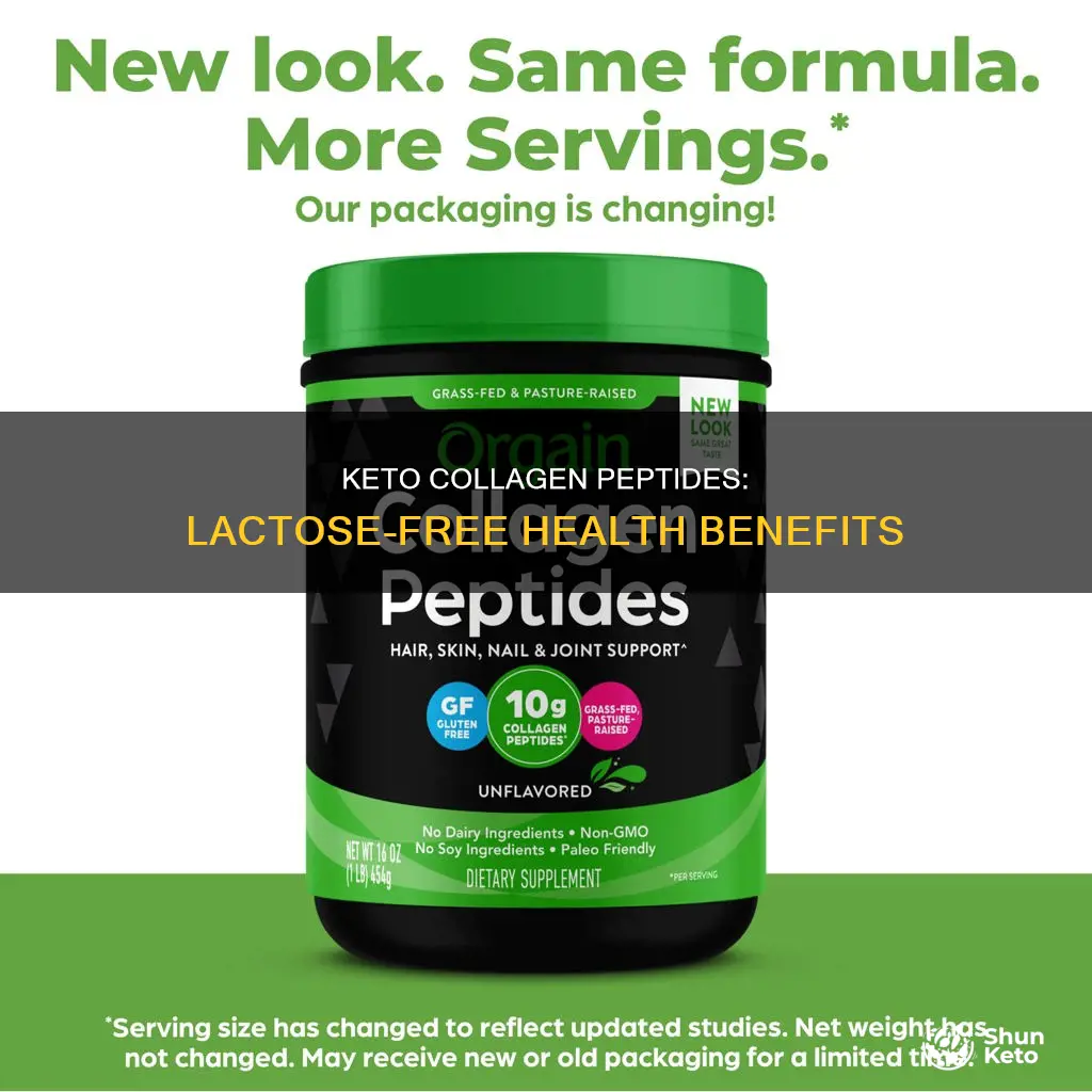 are keto collagen peptides lactose-free