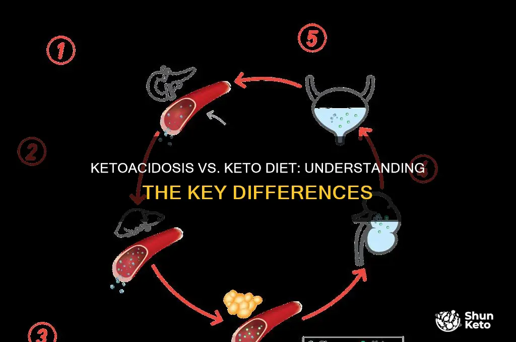 are ketoacidosis and the keto diet the same