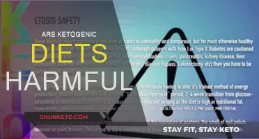Ketogenic Diets: Healthy or Hazardous?