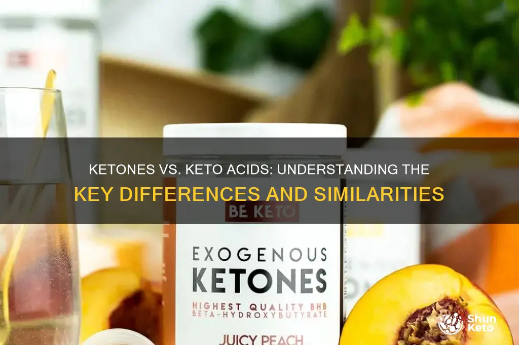 are ketones and keto acids the same