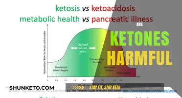 Are Ketones Harmful? Unraveling the Truth About Ketosis and Health