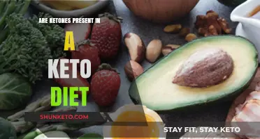 Ketones and Keto: Understanding Their Role in a Low-Carb Diet