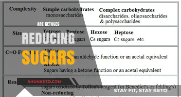 Ketoses as Reducing Sugars: Understanding Their Chemical Properties and Roles