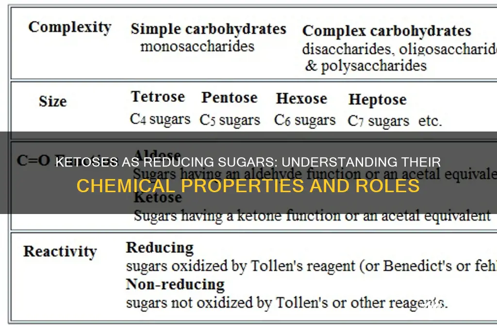 are ketoses reducing sugars