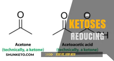 Are Ketoses Reducing Sugars? Understanding Their Chemical Properties