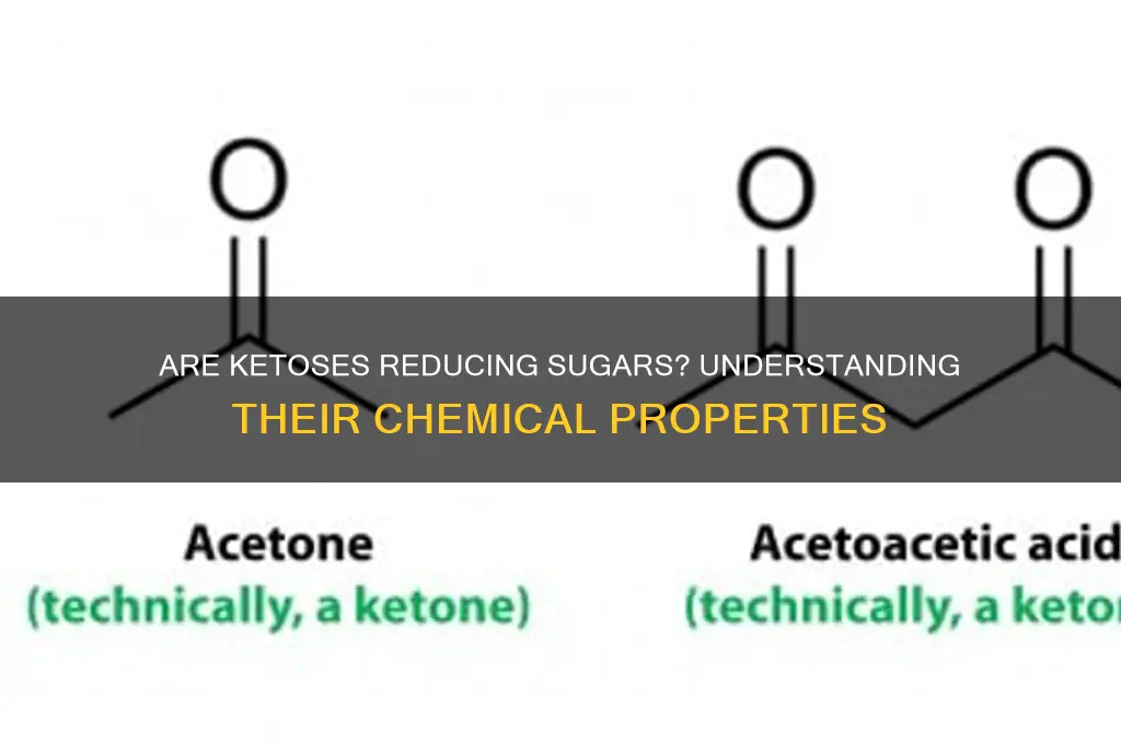 are ketoses reducing