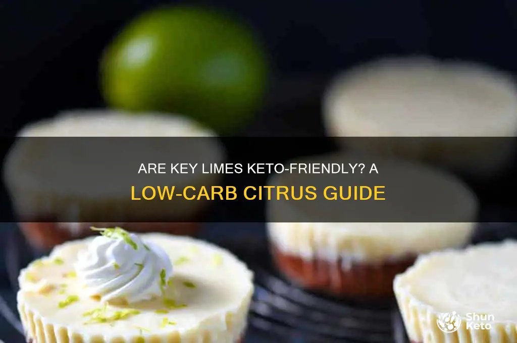 are key limes keto