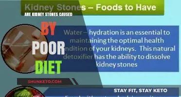 How Diet Impacts Kidney Stones: A Comprehensive Guide