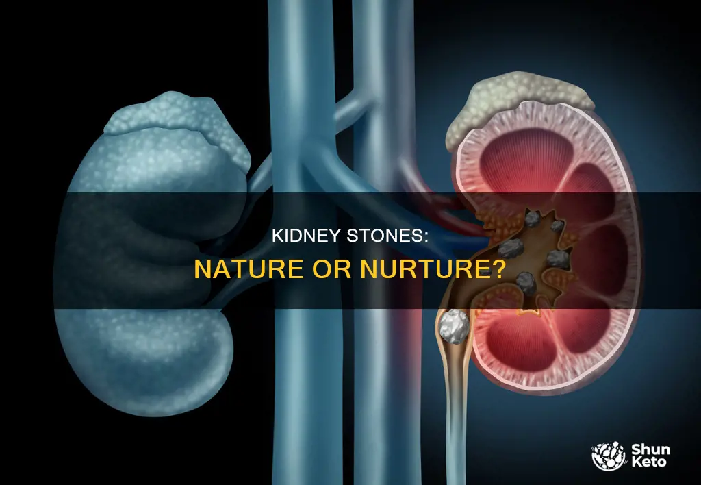 are kidney stones hereditary or based on diet