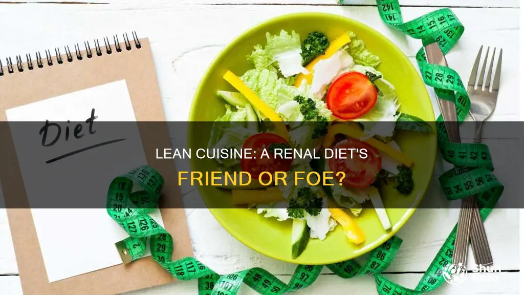 are lean cuisine meals ok for renal diet