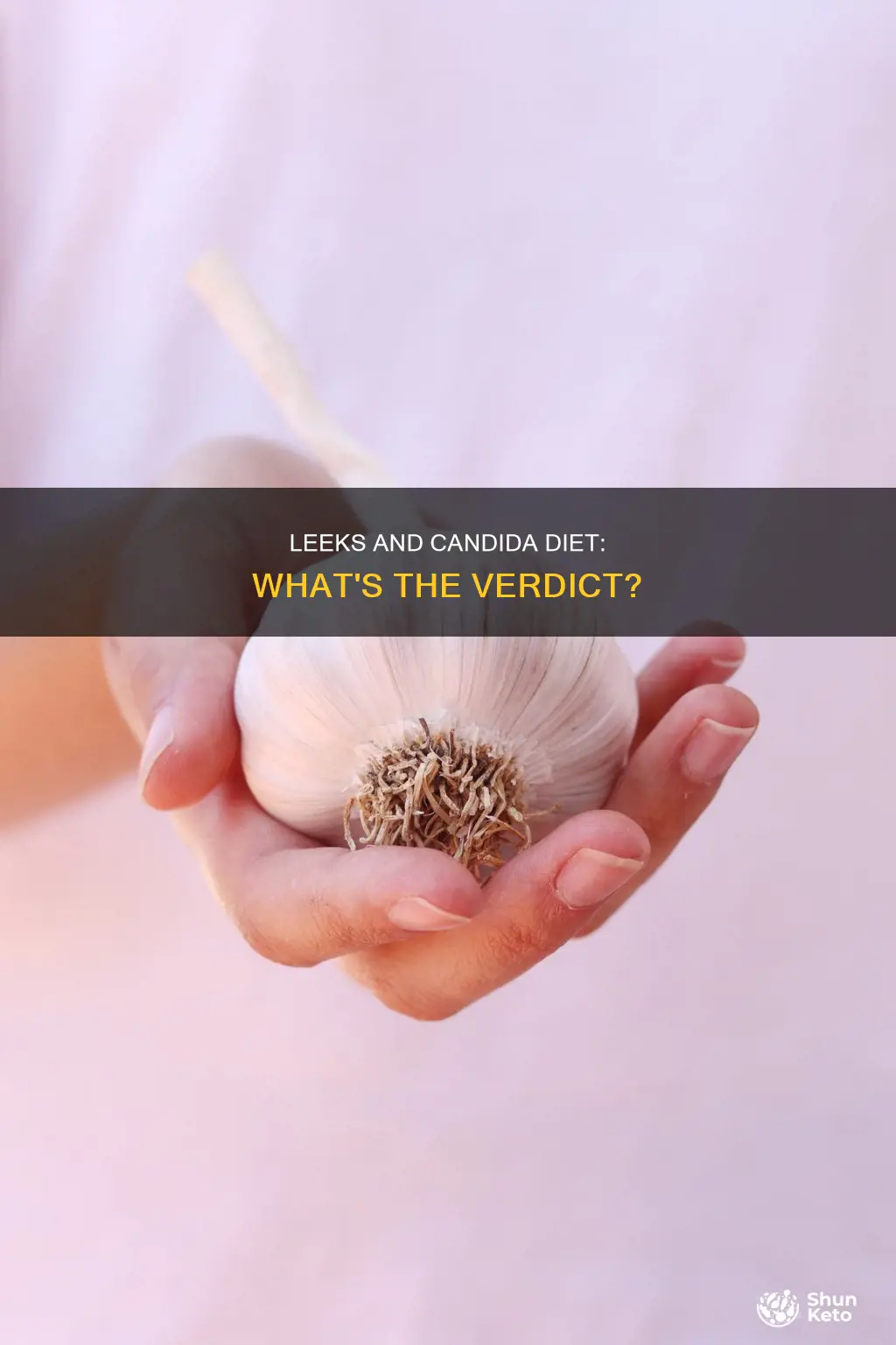 are leeks ok on candida diet
