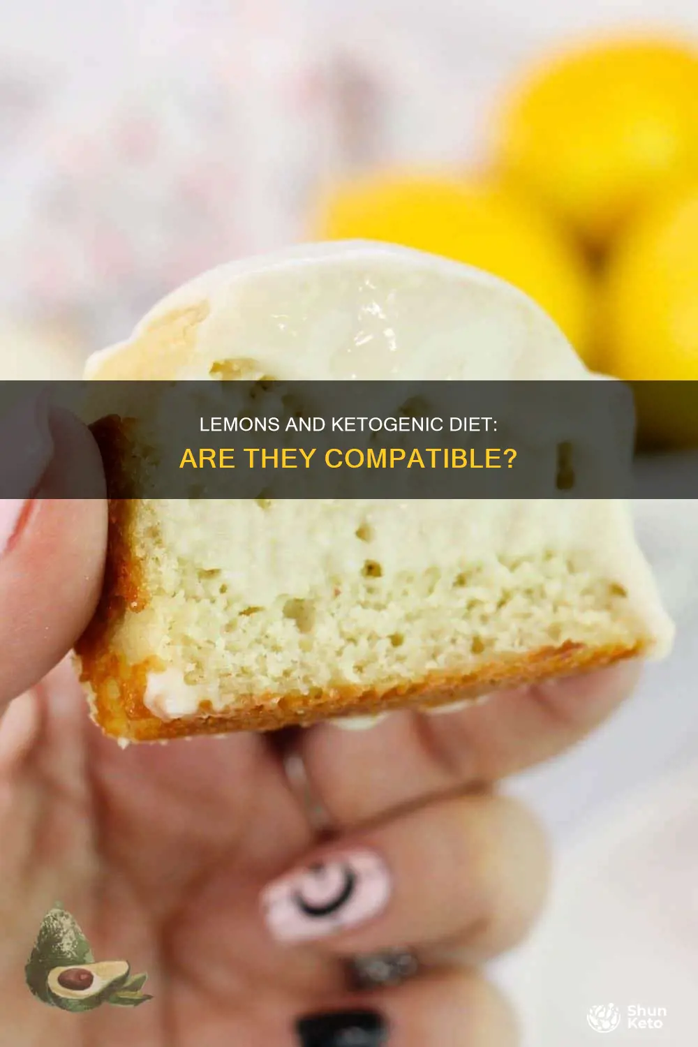 are lemons allowed on ketogenic diet