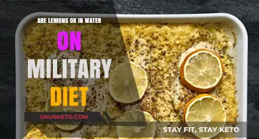 Lemon Water: Friend or Foe on the Military Diet?