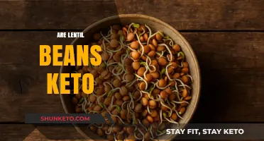 Are Lentil Beans Keto-Friendly? A Low-Carb Diet Analysis