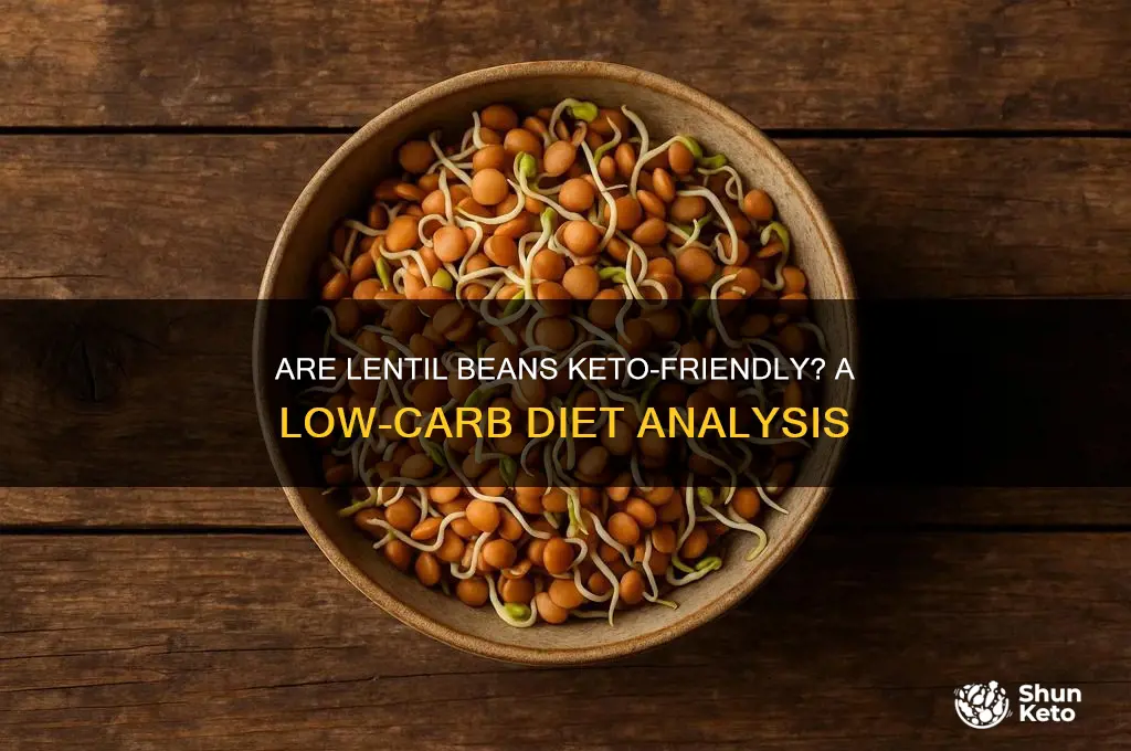 are lentil beans keto