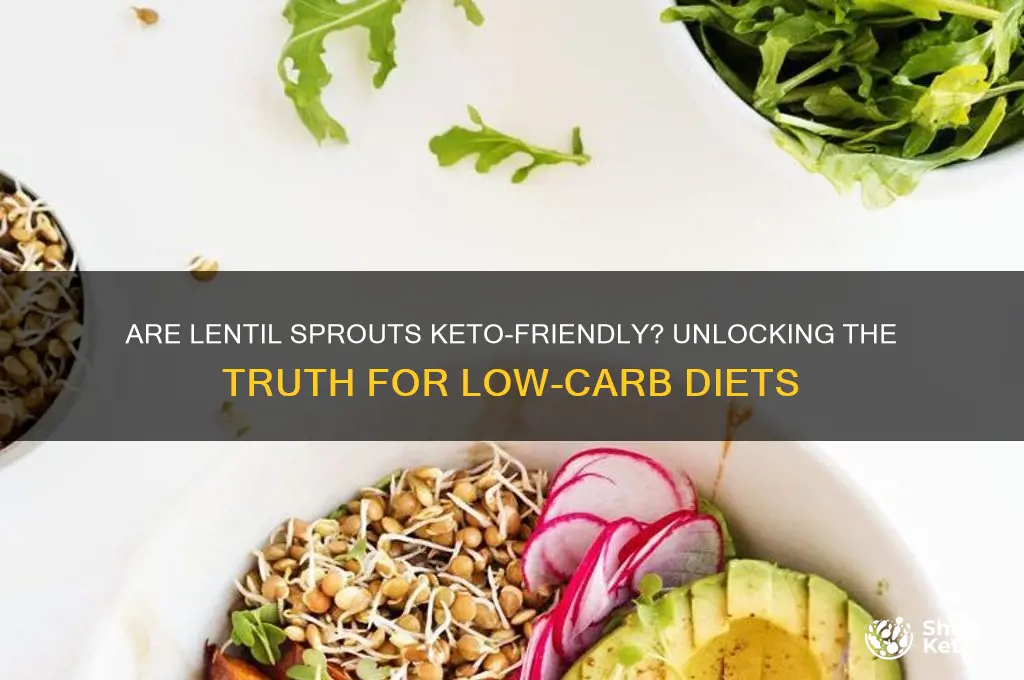 are lentil sprouts keto