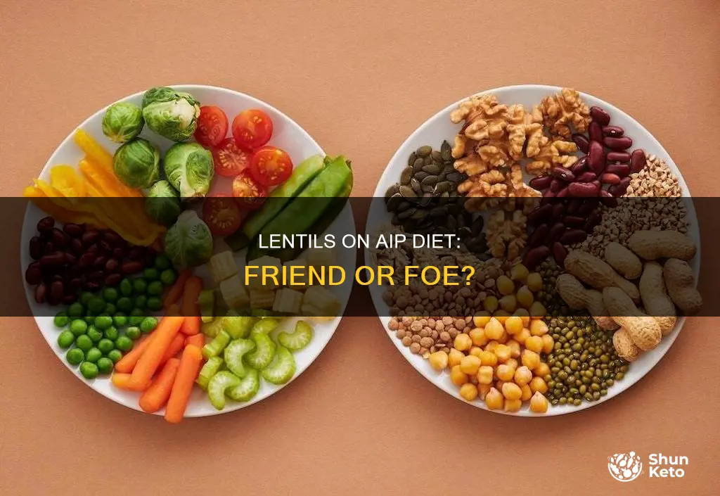are lentils allowed on aip diet