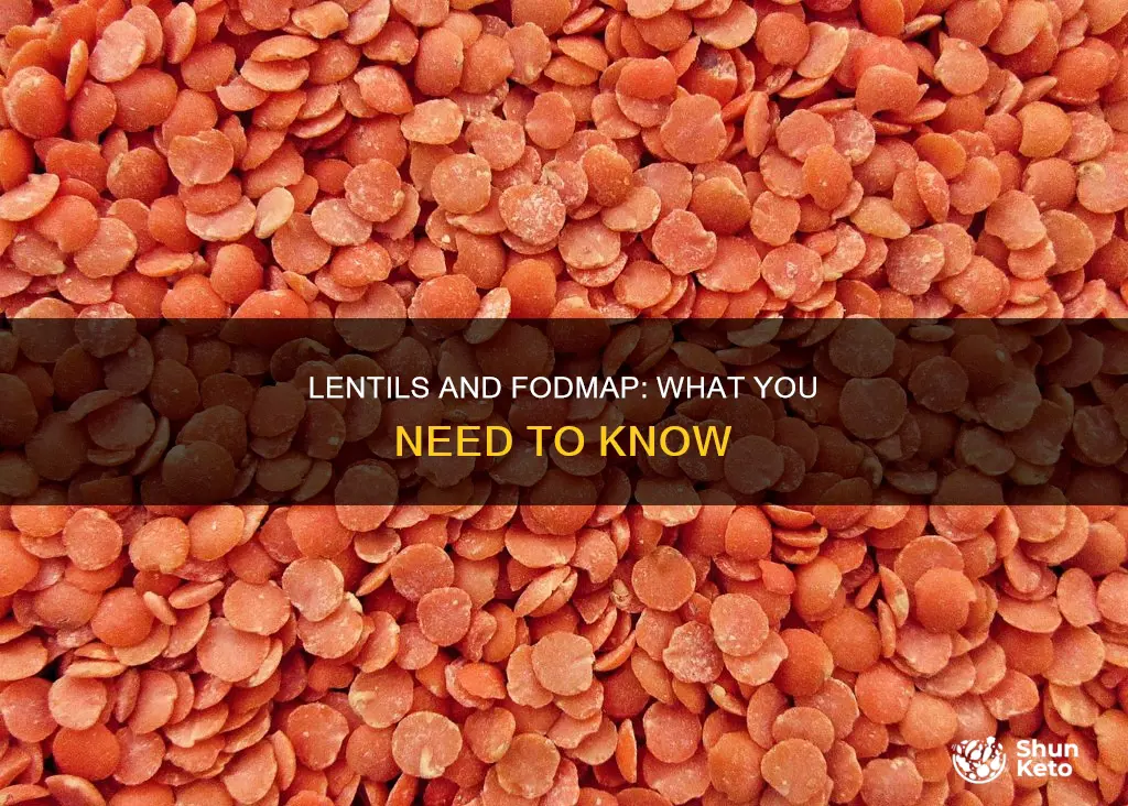 are lentils allowed on fodmap diet
