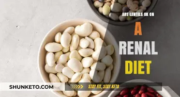 Renal Diet: Are Lentils Safe or Not?