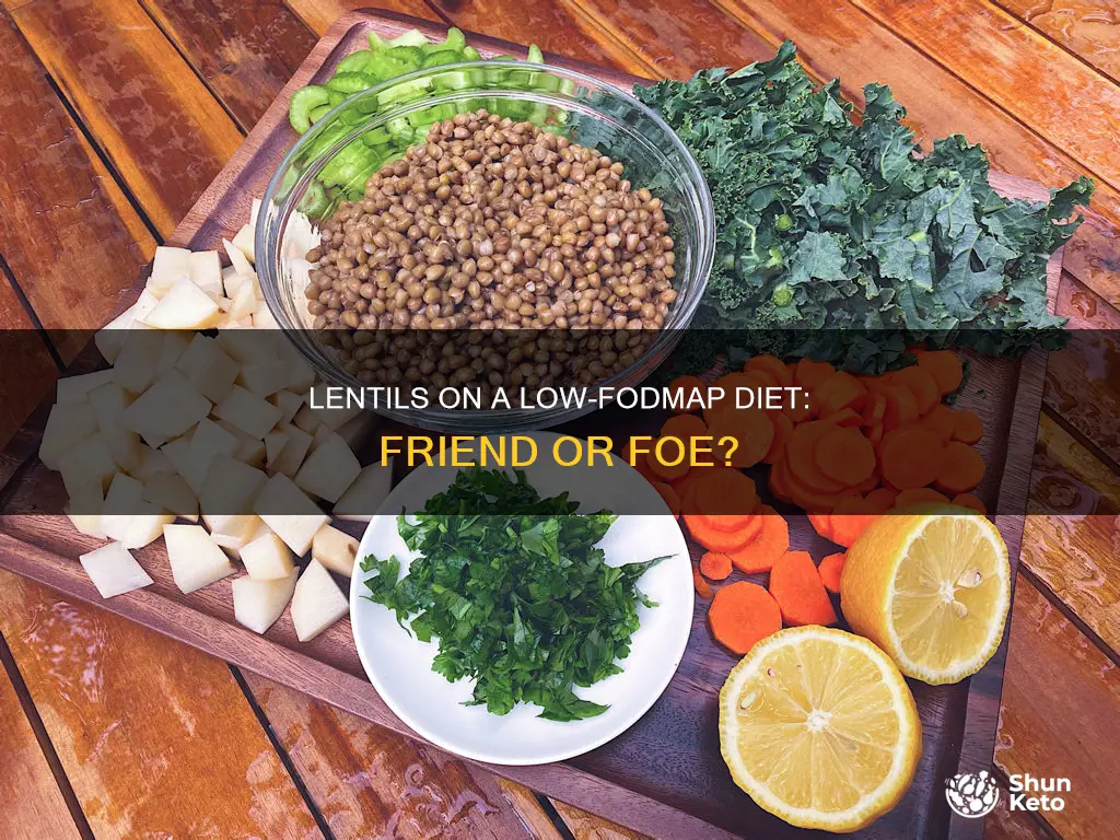 are lentils ok on fodmap diet