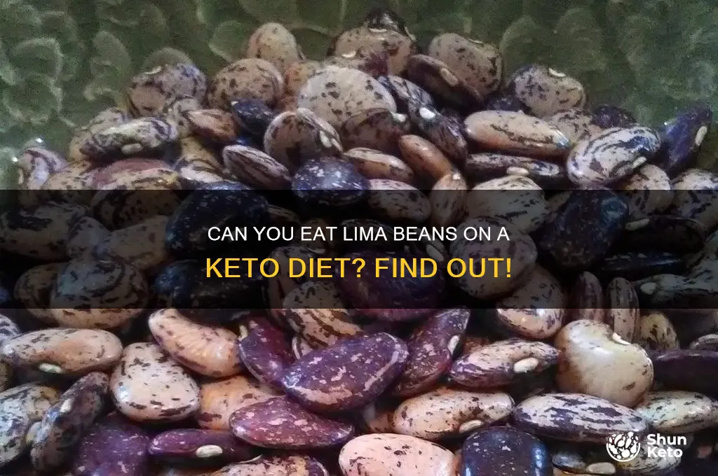are lima beans on keto diet