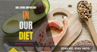 Lipids: Essential Dietary Components for Good Health