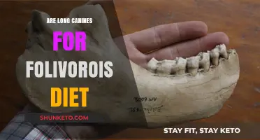 Long Canines: A Folivorous Diet Essential?